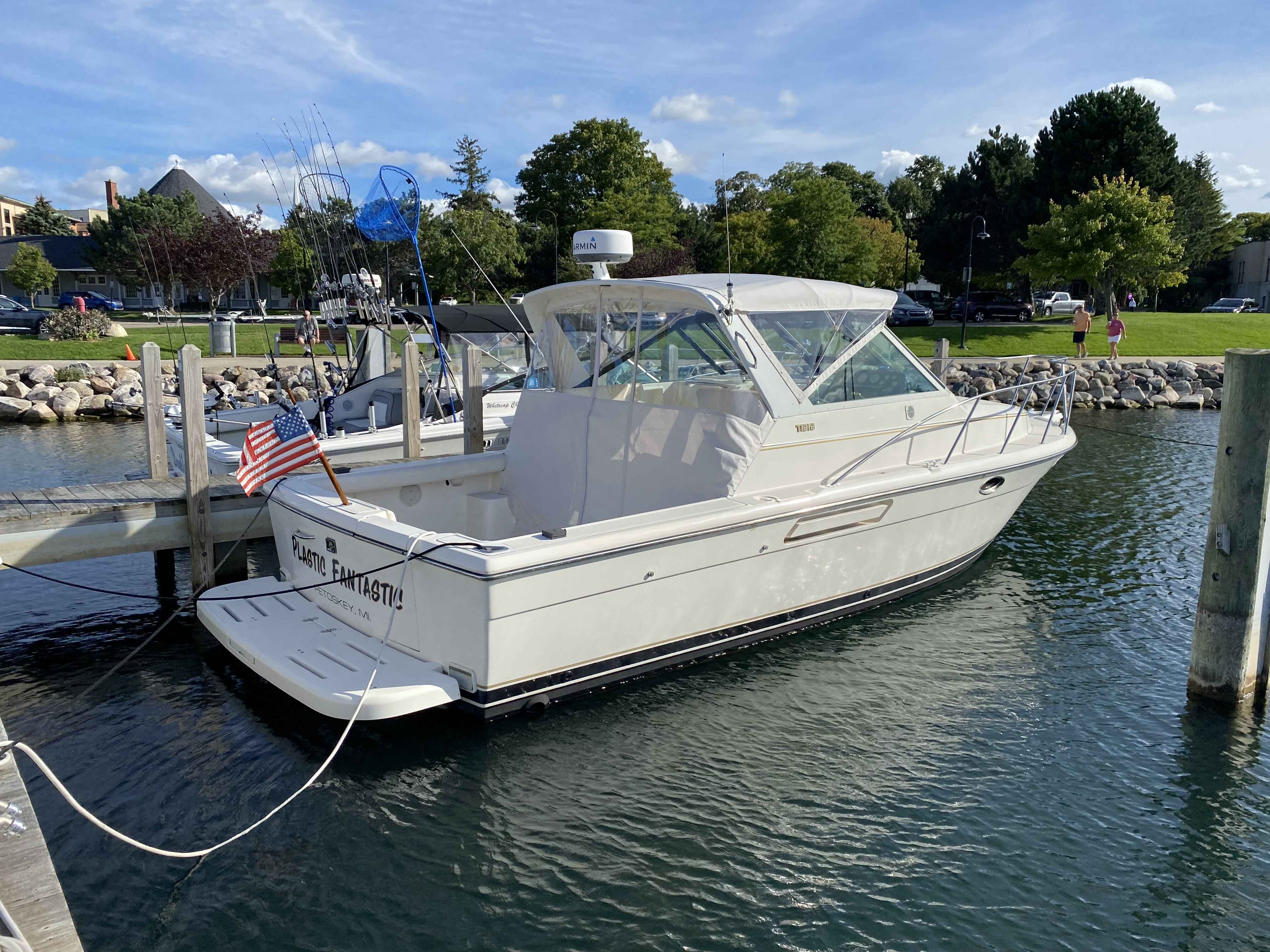 bimini with side curtains